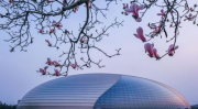 国家大剧院3月演出全部取消,国家大剧院3月演出全面取消，保障观众安全”