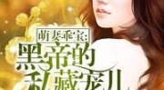天价盛宠:黑帝的隐婚宠儿,隐婚黑帝的神秘娇妻