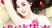 娱乐萌妻,娱乐界的甜蜜逆袭