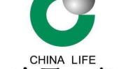 中国人寿官方,构建多层次保障体系，助力国家战略与民生福祉”