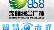 内蒙古广播网,传承与创新中的蒙古语网络文学发展